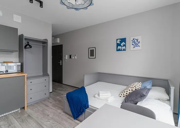 Citystay Przedzalniana Z Klimatyzacja * Łódź